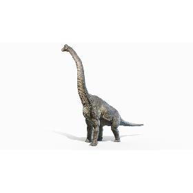 3D Brachiosaurus Animated model